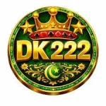 DK222 Game logo