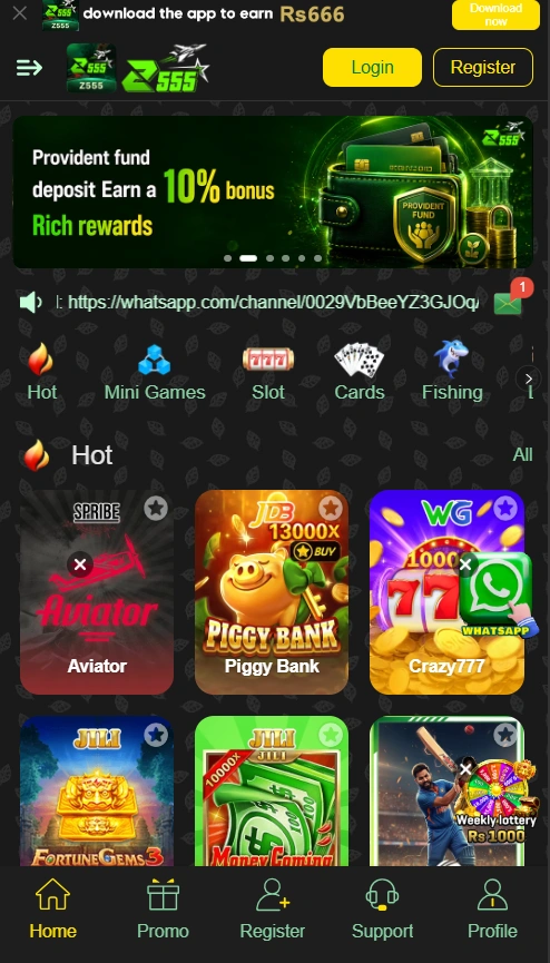 Z555 Game interface screenshot